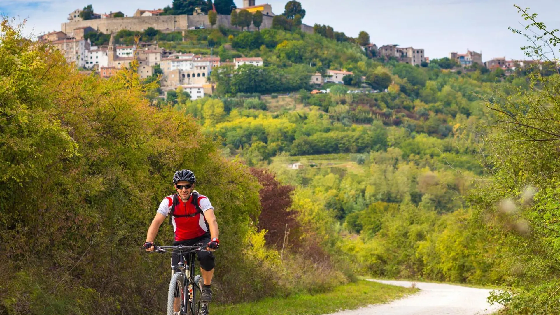 Holiday Home Soriso By Interhome Motovun